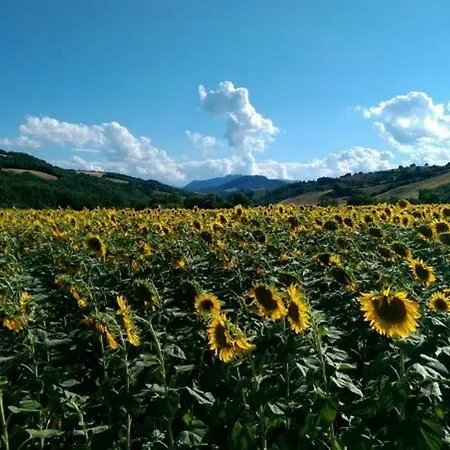 Studio Frazione Montesecco